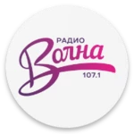 Logo of Radio Volna android Application 